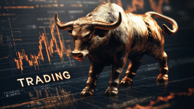 Best trading broker platform dashboard showing forex and stock charts