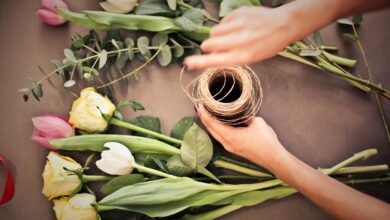 Best Home gardening ideas in 2025